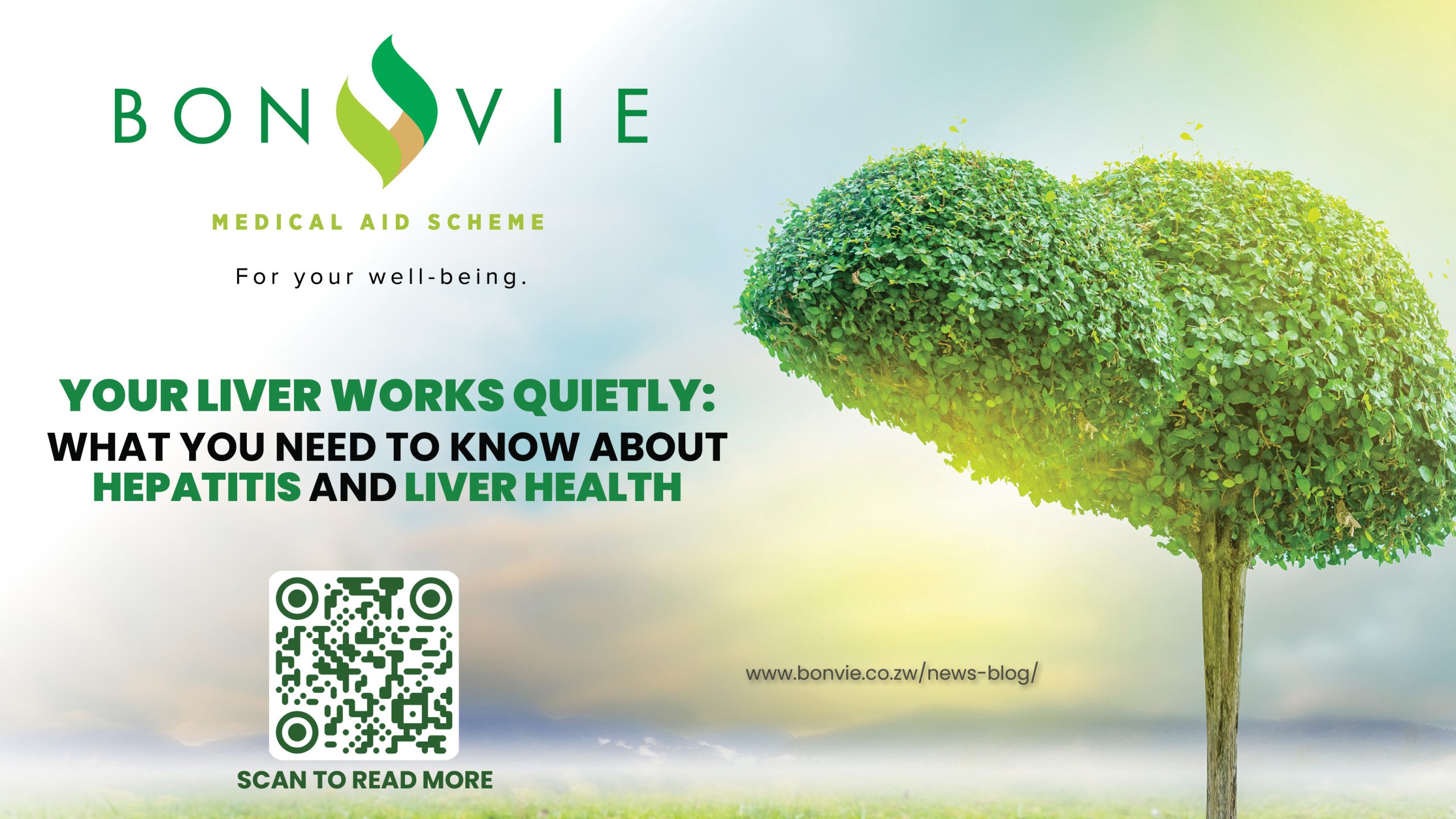 Your Liver Works Quietly: What You Need to Know About Hepatitis and Liver Health